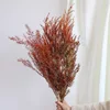 สีส้ม