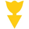 yellow Tulip