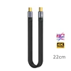 D-10Gbps แบบจำลอง