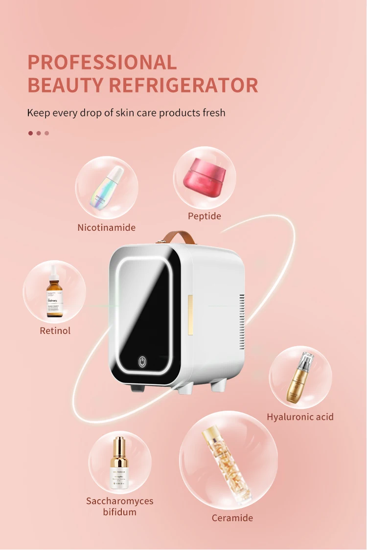 4 Liter Mini Refrigerator Skin Care Makeup Storage Beauty Serums And