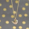 XL764 gold