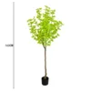 160cm green ginkgo tree