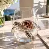 Tortuga