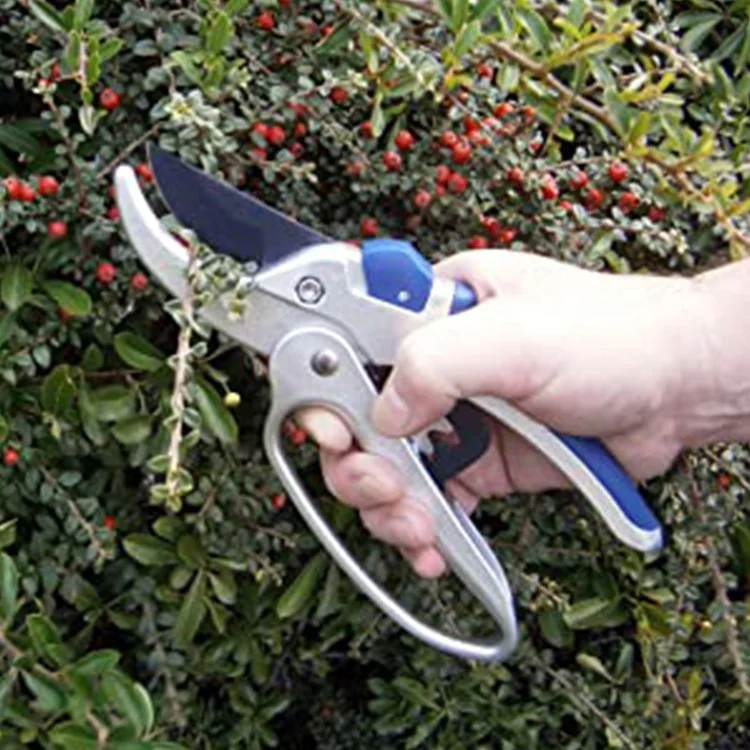 Good Quality Garden Clippers Ratchet Pruning Shears Garden Shear Scissor Trimming Rose,Floral
