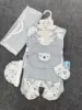 Orso grigio