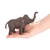 1748 Mammoth laineux