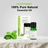 Menta