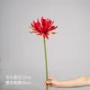 Epiphyllum - Red