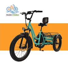 20inch The fat-tire aluminum electric bicycle  Rear Two-Wheel Drive on a open differential axle  Electric Tricycle for adults