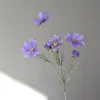 Morado claro