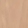 Red Beech
