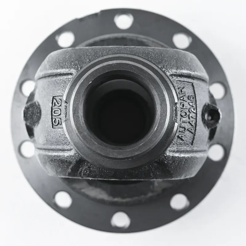 Індивідуальний диференціал від китайського постачальника послуг злиття чавуну методом піщаного лиття