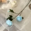 Bleu clair