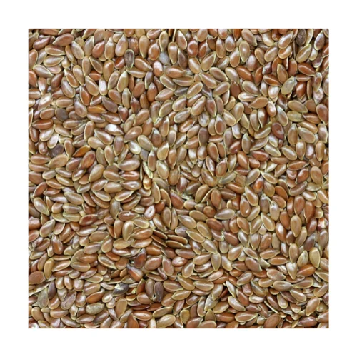 بذور الكتان الروسية الذهب بذور الكتان البني Buy Flax Seeds Linseed Flax Seeds Organic Product On Alibaba Com