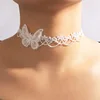 18062-blanco