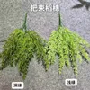 Bouquets d'épis de riz vert foncé