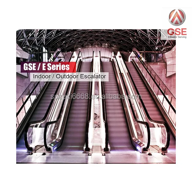 Foshan GSE Brand China Elevators and Escalators Residential Small Home Escalator Cost