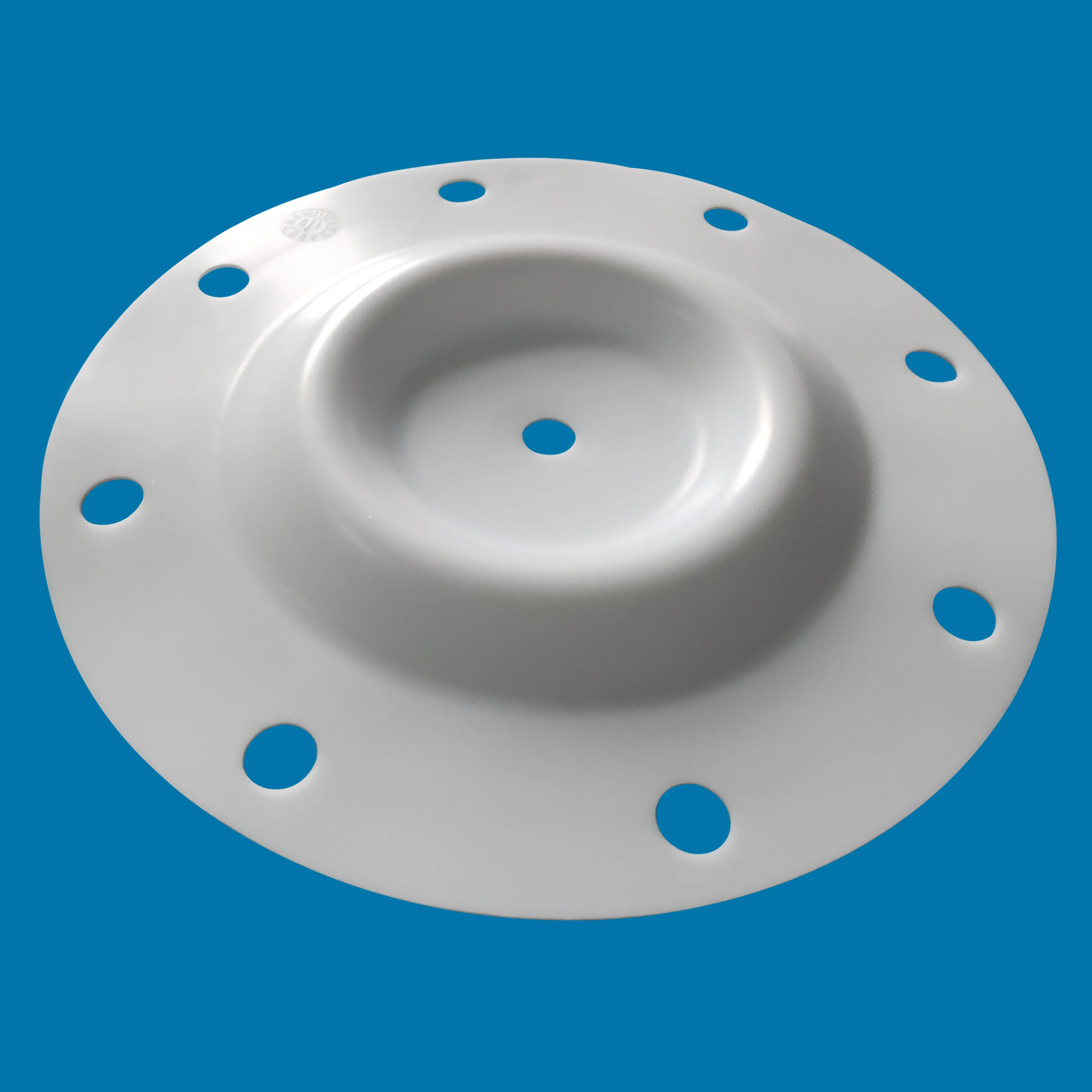 286.099.600 PTFE Diaphragm