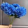 Deep blue-new model