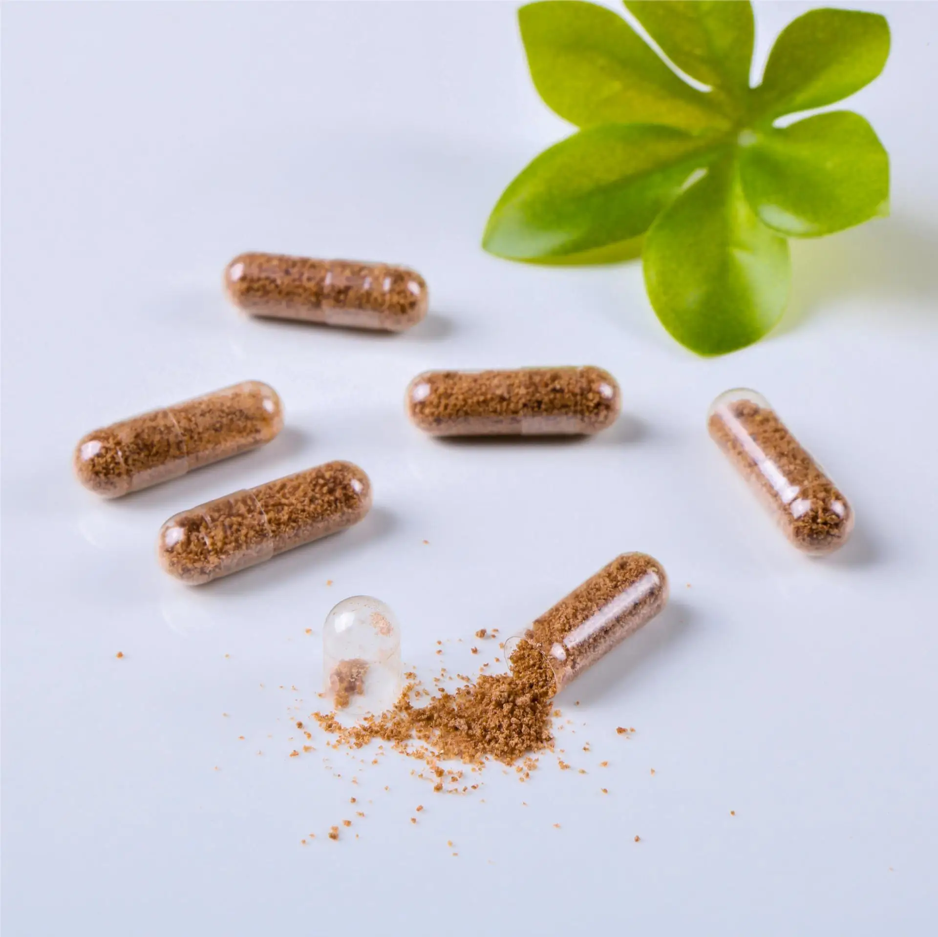 Производитель фармацевтическая упаковка Размер 00 пустая овощная капсула Hpmc