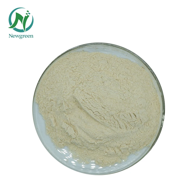 Food Grade Lipase Enzyme Lipase For Cheese Buy Industrial Grade