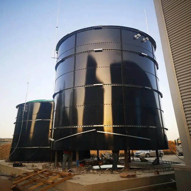 GFS Assembly Biodigester Biogas Plant Turning Human Waste/Livestock Manure&Agriculture Waste Into Cooking Gas and Electricity