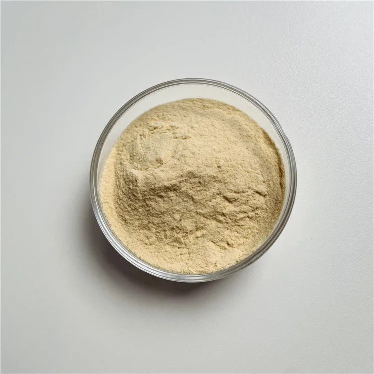 Factory Wholesale Pure Sea Cucumber Extract Sea Cucumber Collagen Peptides Sea Cucumber Peptide Powder