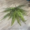 21-stem bunch large-forked fern-green