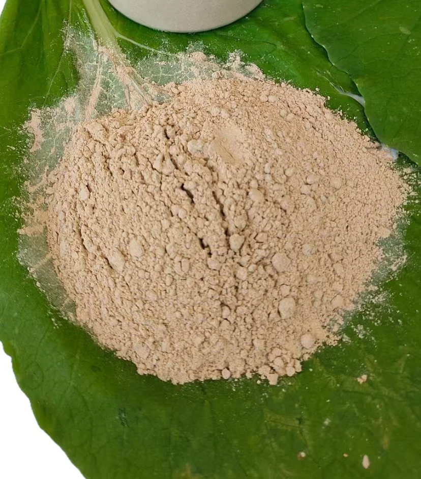 70 Animal Protein Mealworm Protein Powder With 18 Common Amino Acids Senior For Adults And