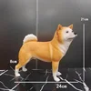 Akita