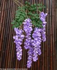 Abler wisteria purple
