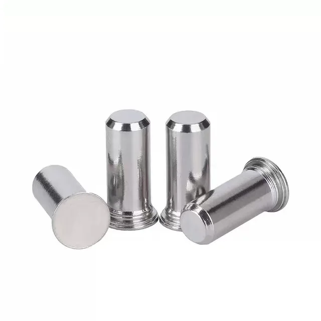Tps 304 Stainless Steels Natural Colour Inch Guide Pin Positioning