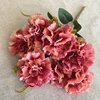 Rose Madder