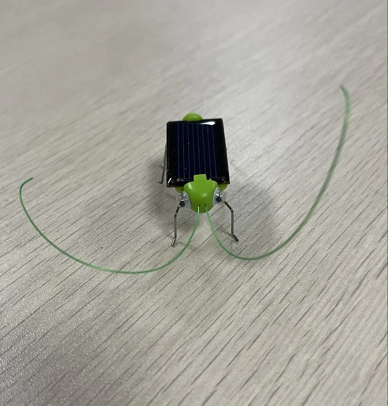 mini solar grasshopper /solar toy/educational toy for kids