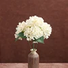 Color no. 9 (excluding vase)