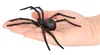 1938 Araña viuda negra