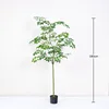 Happiness Tree (Type A) - 180cm (comes with black base pot)