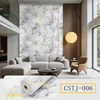 CSTJ006