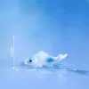 No.6 piccoli celadon entrano in un sogno
