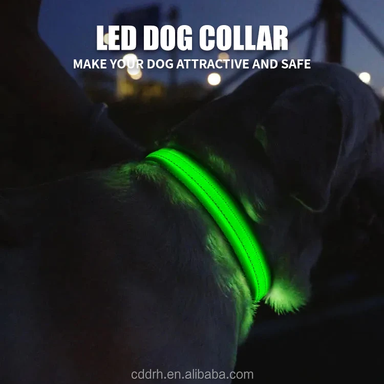 Nylon Led Pet Dog Collar Night Safety Flashing Glow In The Dark Dog ...