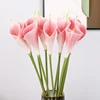 สีชมพู