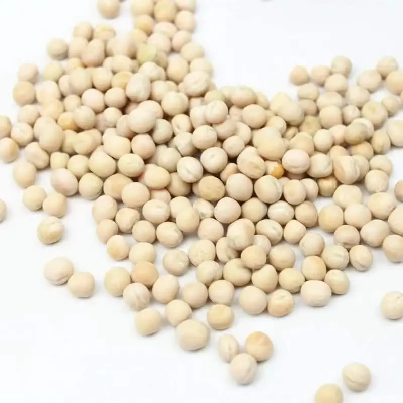 Wholesale White Peas Bean With Shell Grains Dry Bird Food Pigeon Feed