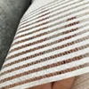 Raya blanca
