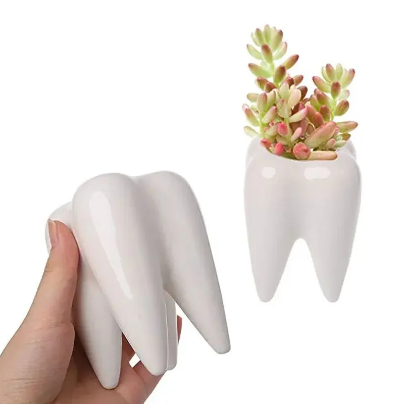 Gift Prod 2 Pcs Teeth Pots White Ceramic Succulent Planter