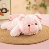 Little pig