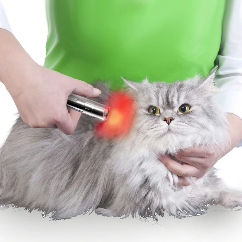 Infrared Light 3 Level Red Light  630nm/660nm/850nm for Pain Relief Safety Class 3 Laser for Wound Healing Pet Care