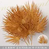 Caramel-colored sea urchin leaf branches
