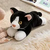 gato vaca