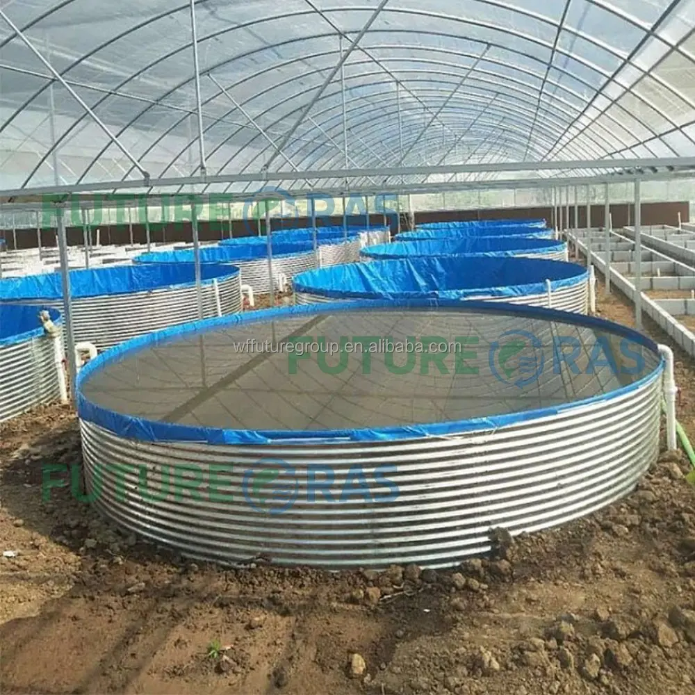 大規模養殖池 ティラピア プラスチック製養魚池 水産養殖池| Alibaba.com