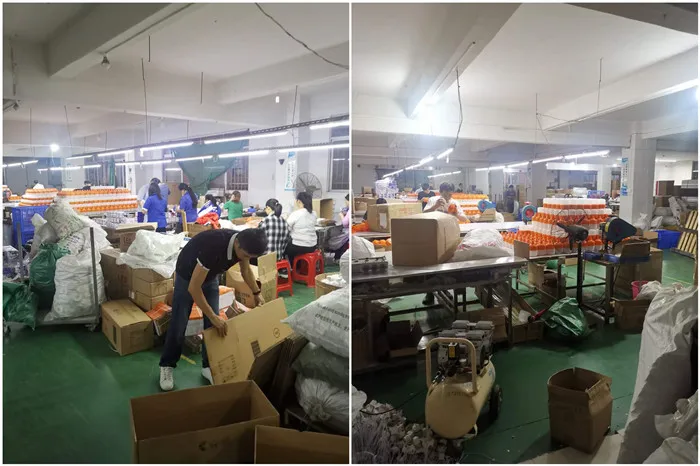 emergency bulb factory.jpg